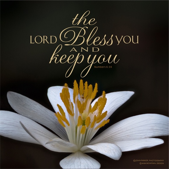 You’re such a lady... - Picture 3 of 14